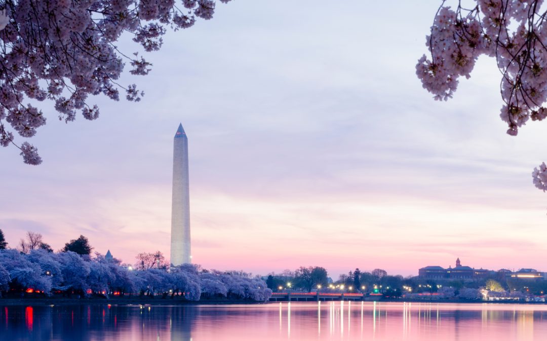 Presidential Legacies of Regulatory Reform