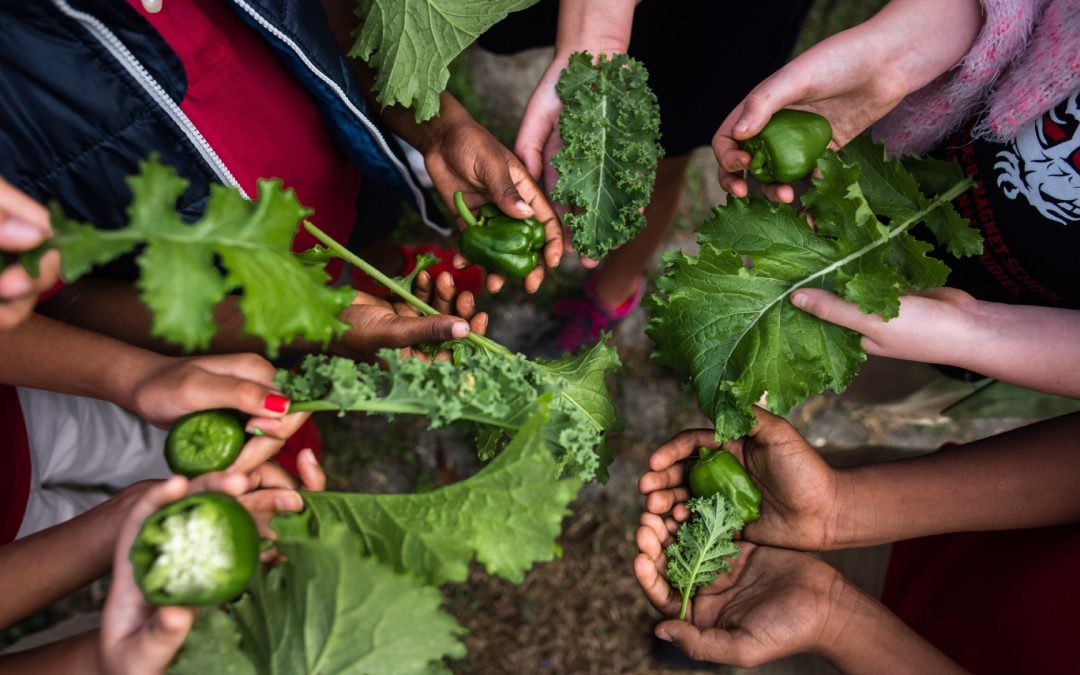Food Security Research