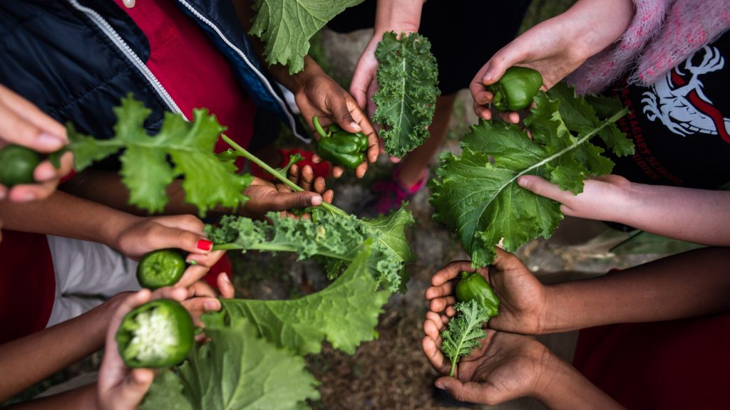 kids with veggies