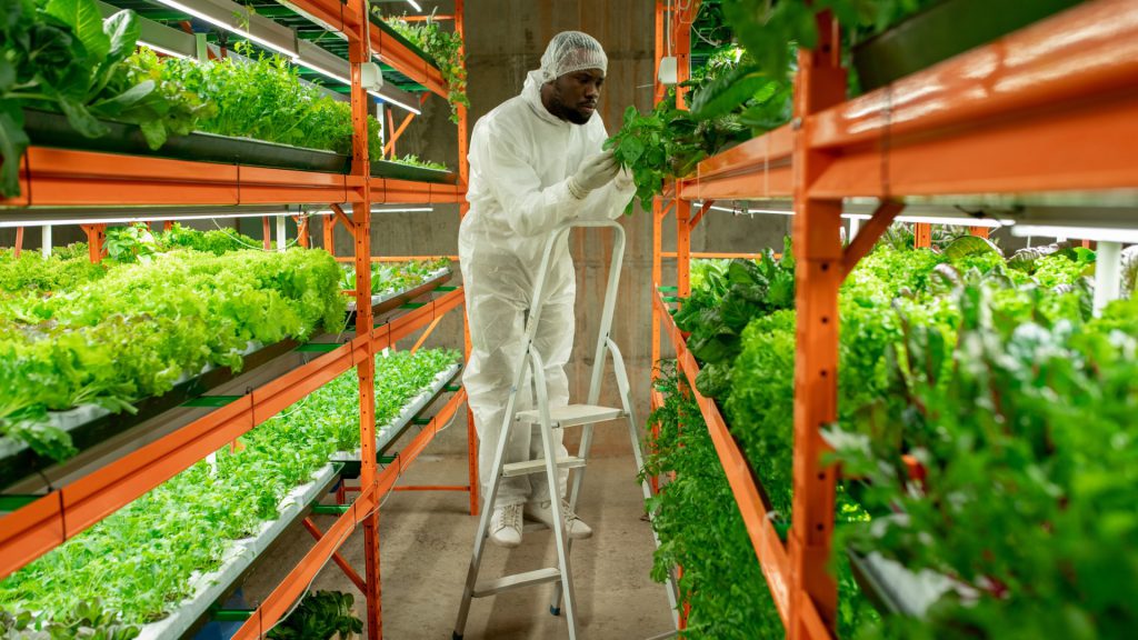 vertical farmer