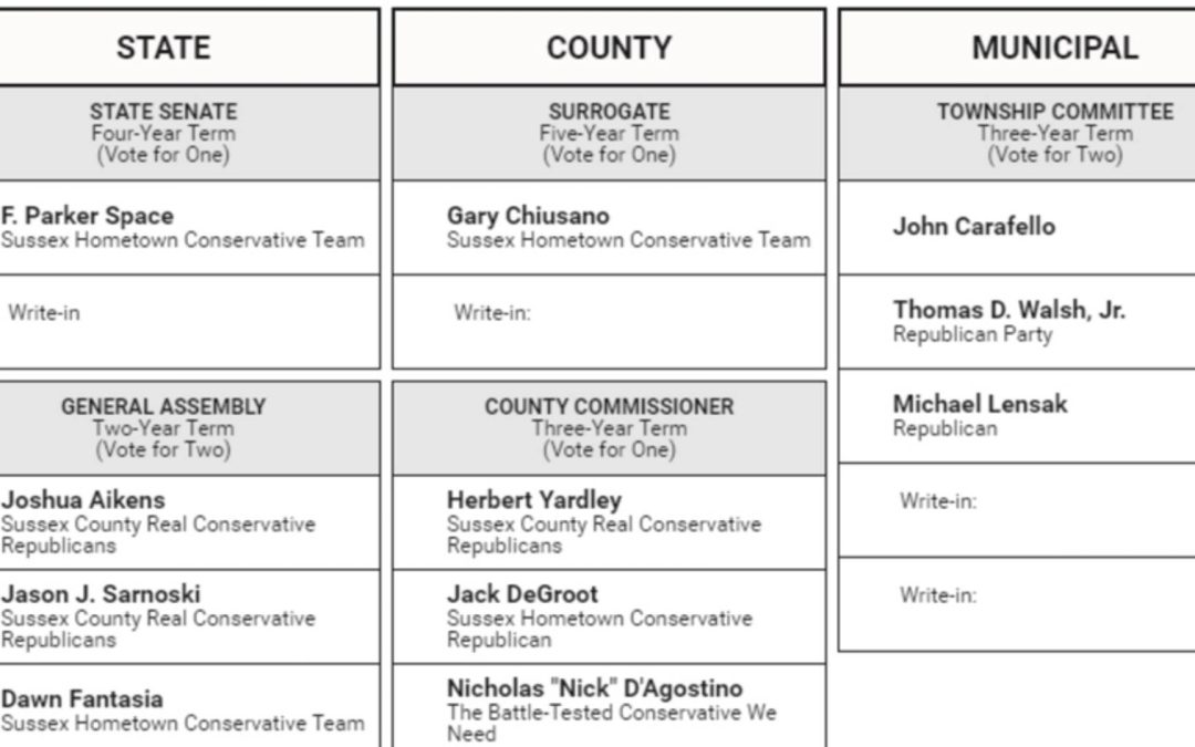Rubin Op Ed: What Must Be Done to Turn New Jersey into a Real Democracy?