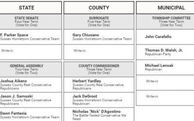 Rubin Op Ed: What Must Be Done to Turn New Jersey into a Real Democracy?