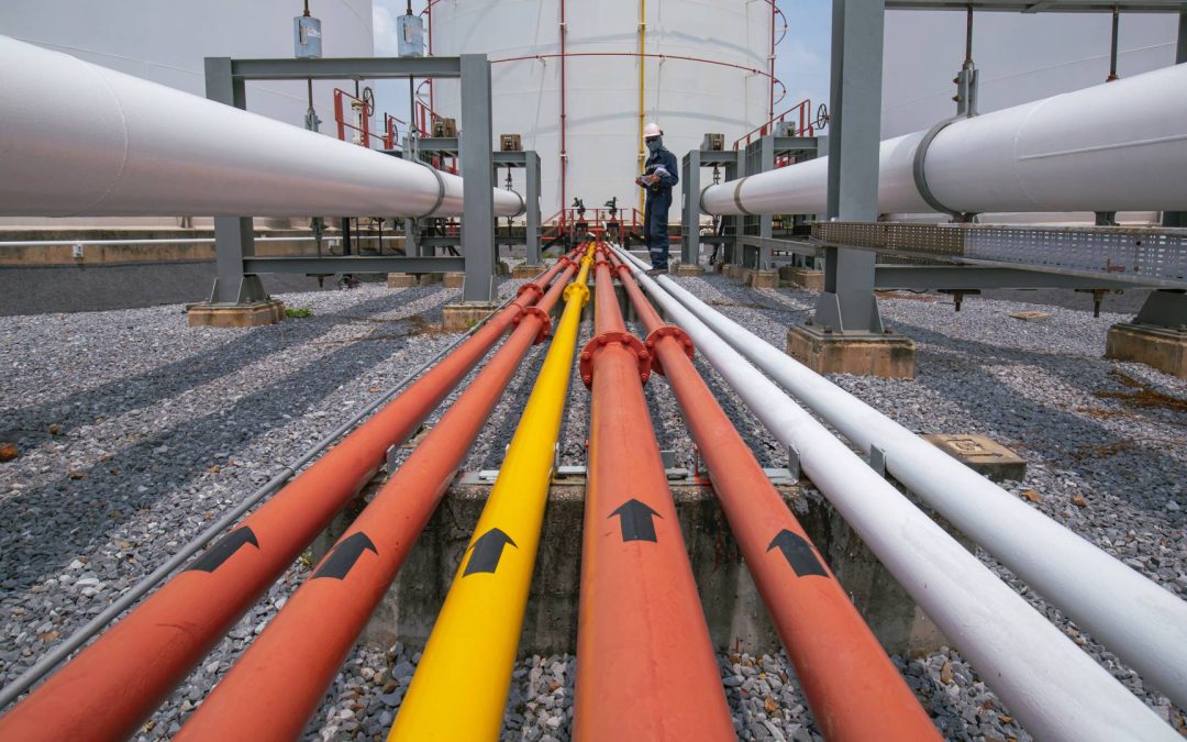 Biden outlines regulatory plans for the rest of his term