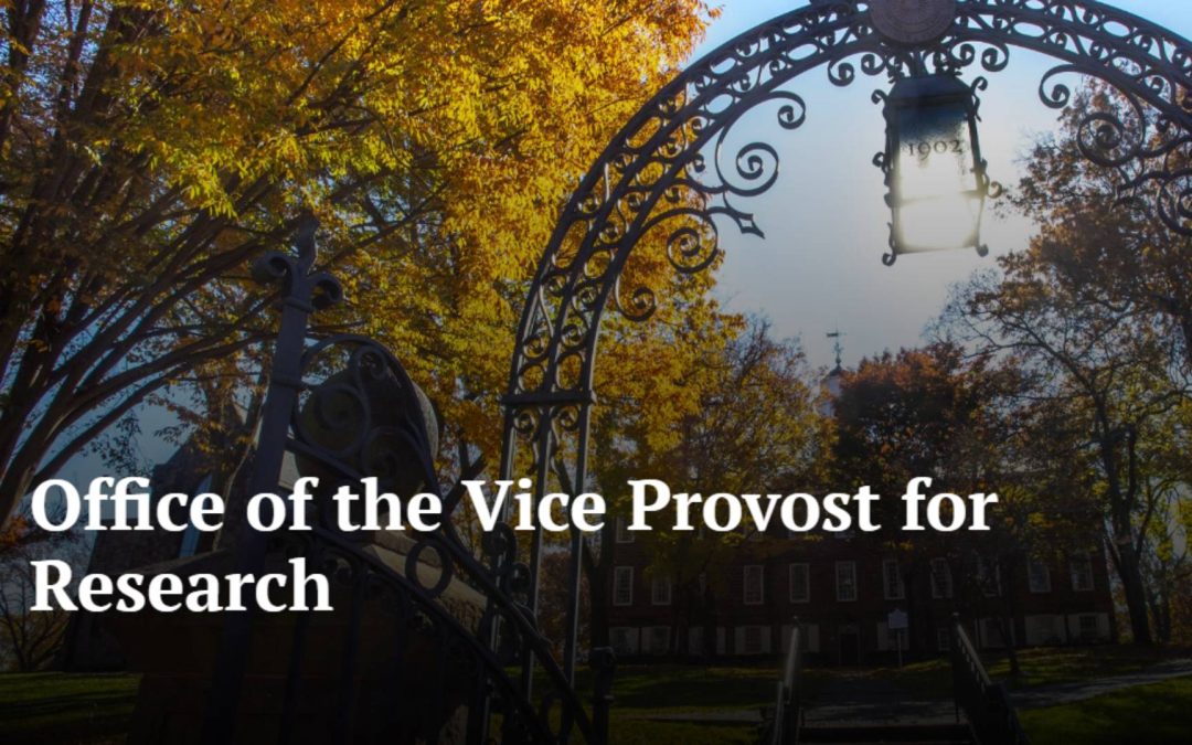 Kathe Newman Joins Provost Leadership Research Fellowship