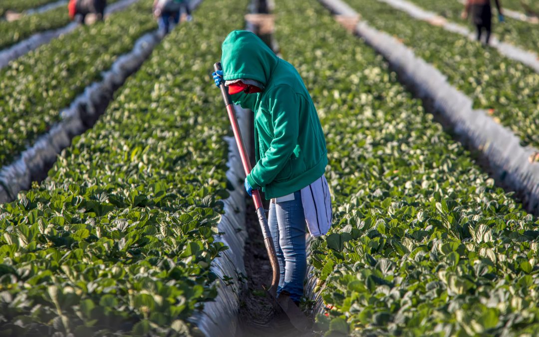 Dr. Parker Examines Migrant Healthcare Public Policies