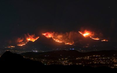 Stamato Commentary: Trump fiddles while L.A. burns