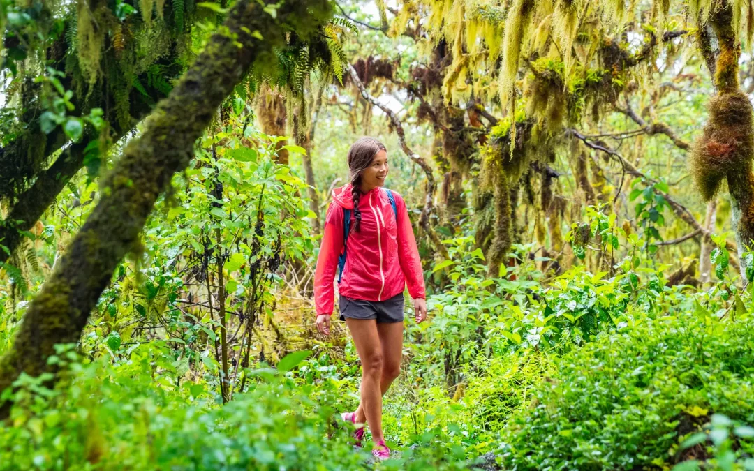 Restrepo-Mieth Researches Tree Inventories in Galápagos, Ecuador