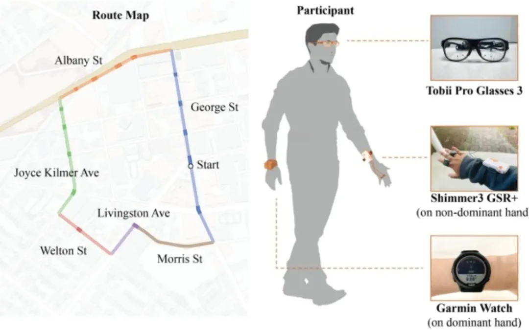 Assessing Pedestrian Stress with Biometrics & Surveys