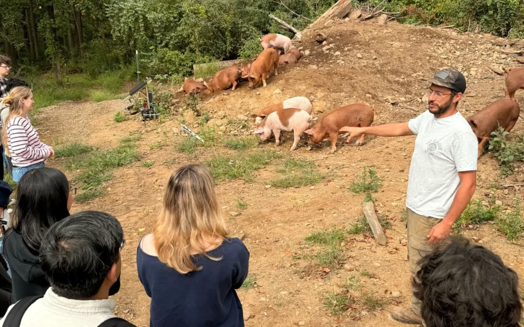 Food & Energy Policy Students Visit Ironbound Farm