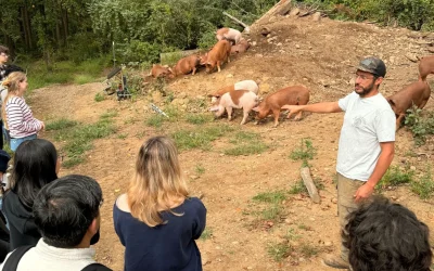 Food & Energy Policy Students Visit Ironbound Farm