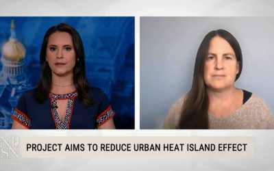 What is Heat Island and What is Being Done About Them?